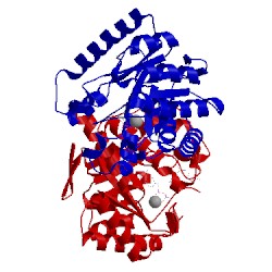 Image of CATH 3tzf