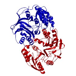 Image of CATH 3u1b