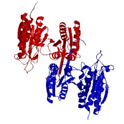 Image of CATH 3u1h