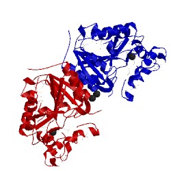 Image of CATH 3u1t