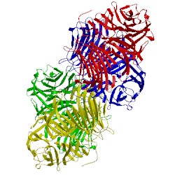 Image of CATH 3u75