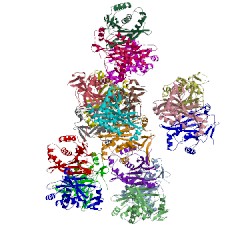 Image of CATH 3u9f
