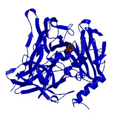 Image of CATH 3uaa