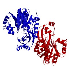 Image of CATH 3ubo
