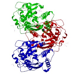 Image of CATH 3ubt