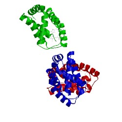 Image of CATH 3ubv