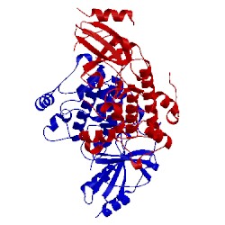 Image of CATH 3uc4