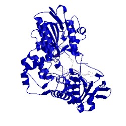 Image of CATH 3ucl