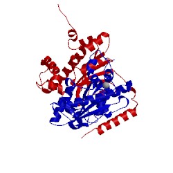 Image of CATH 3ucm