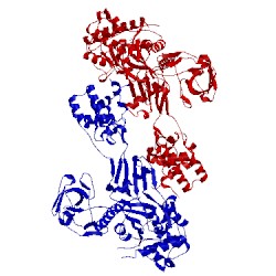 Image of CATH 3udi
