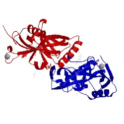 Image of CATH 3uh2