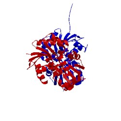 Image of CATH 3uhf
