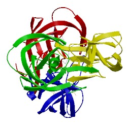 Image of CATH 3uhl