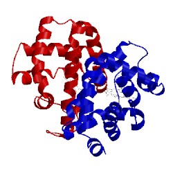 Image of CATH 3uhv