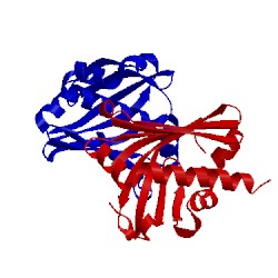 Image of CATH 3uid
