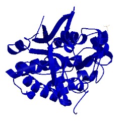 Image of CATH 3uif