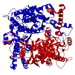 Image of CATH 3ujh