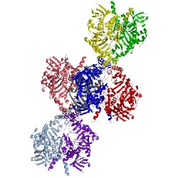 Image of CATH 3ukh