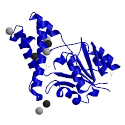 Image of CATH 3umb