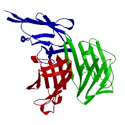 Image of CATH 3umn