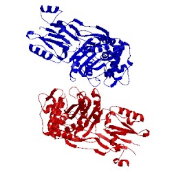 Image of CATH 3un7