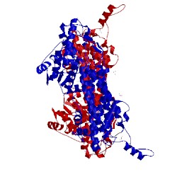 Image of CATH 3unv