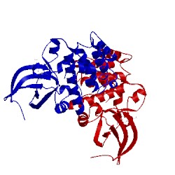 Image of CATH 3uoj