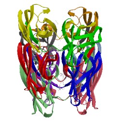 Image of CATH 3upc