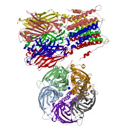 Image of CATH 3uq4