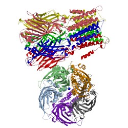 Image of CATH 3uq5