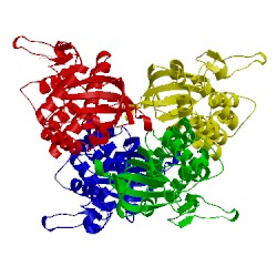 Image of CATH 3uqc