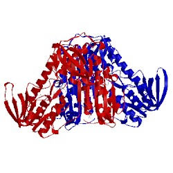 Image of CATH 3urh