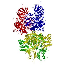 Image of CATH 3ut0