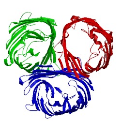 Image of CATH 3uu2
