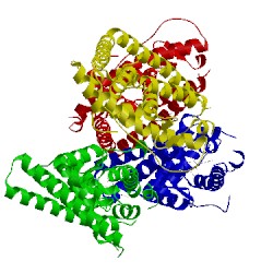 Image of CATH 3uuc