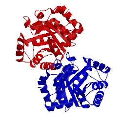 Image of CATH 3uxa