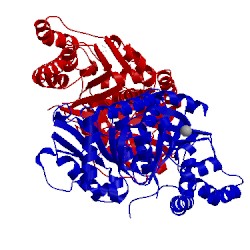 Image of CATH 3uyl