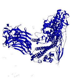 Image of CATH 3v0a
