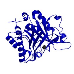 Image of CATH 3v16