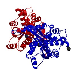 Image of CATH 3v20