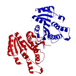 Image of CATH 3v2h