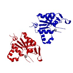 Image of CATH 3v34