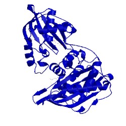 Image of CATH 3v39