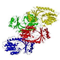 Image of CATH 3v3o