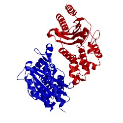 Image of CATH 3v3s