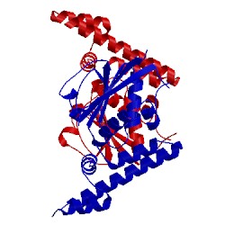 Image of CATH 3v42