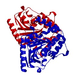 Image of CATH 3v48