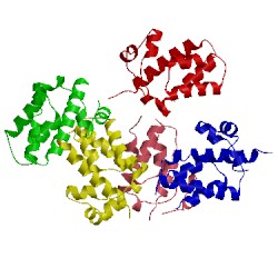 Image of CATH 3v53