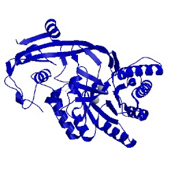 Image of CATH 3v5f