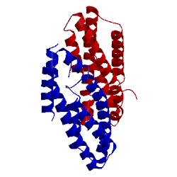 Image of CATH 3v5x